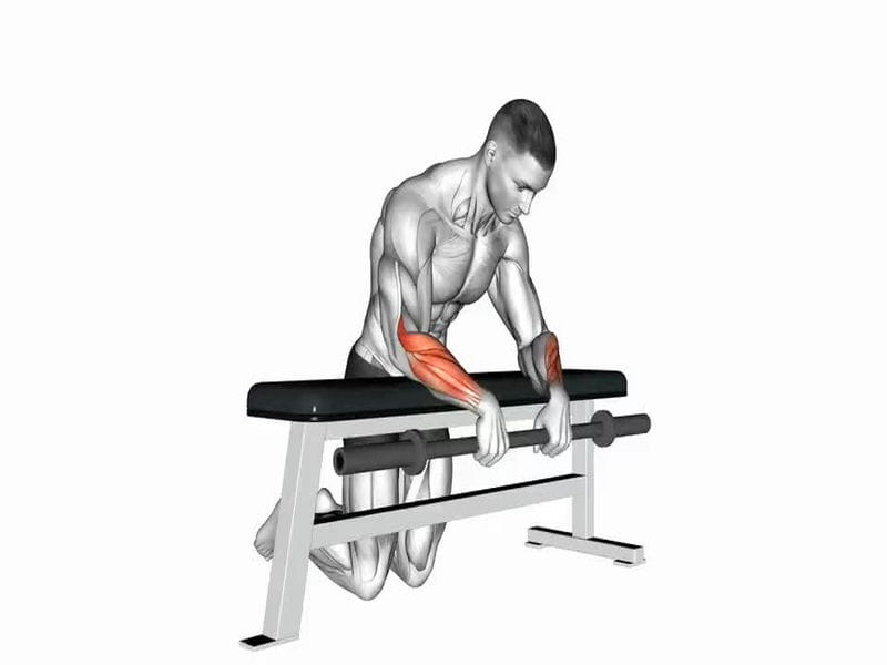 Bài tập Ngồi cuộn cổ tay ngược