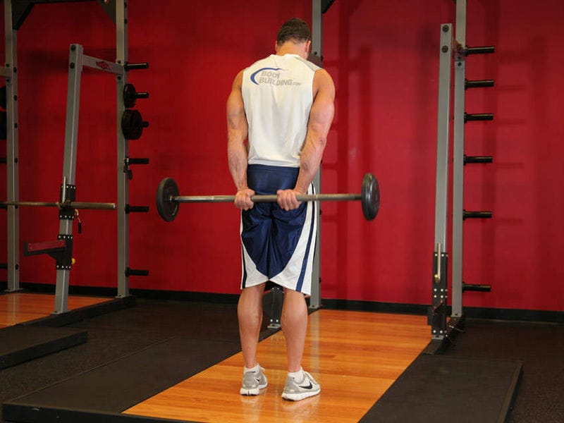 Bài tập Standing Palms-Up Barbell Behind The Back Wrist Curl